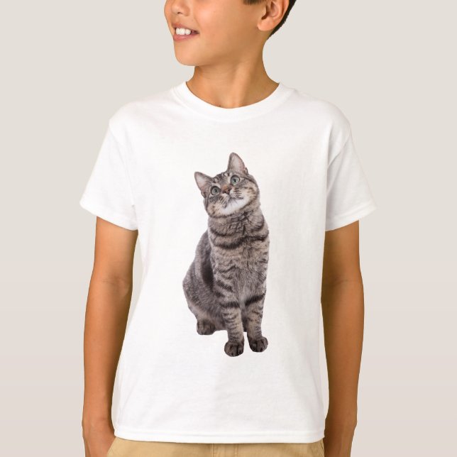 Camiseta Gato de Tabby (Frente)