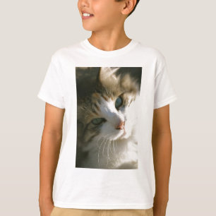 Camiseta Gato de tigre da chita