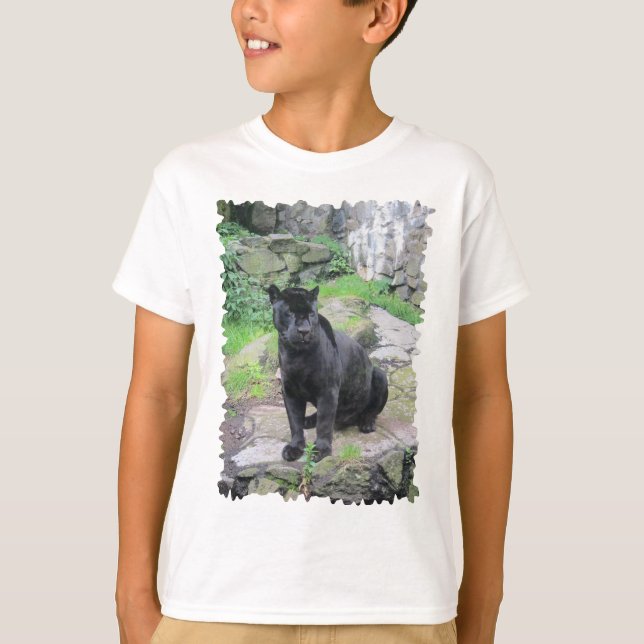 Camiseta Gato do Big Black Jaguar sentado em rock (Frente)