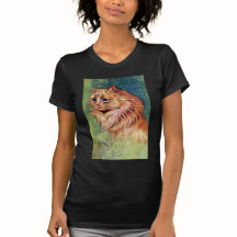 Gato do doce de fruta com olhos azuis