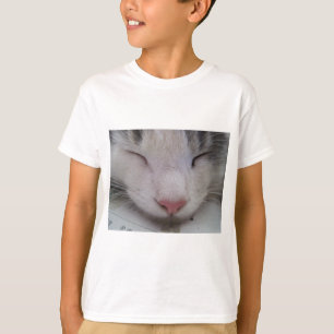 Camiseta Gato Dormindo