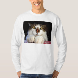 Camiseta Gato e joaninha Eyed cruz