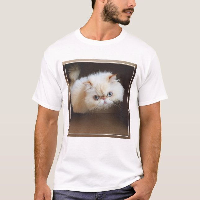 Camiseta Gato em uma caixa (Frente)