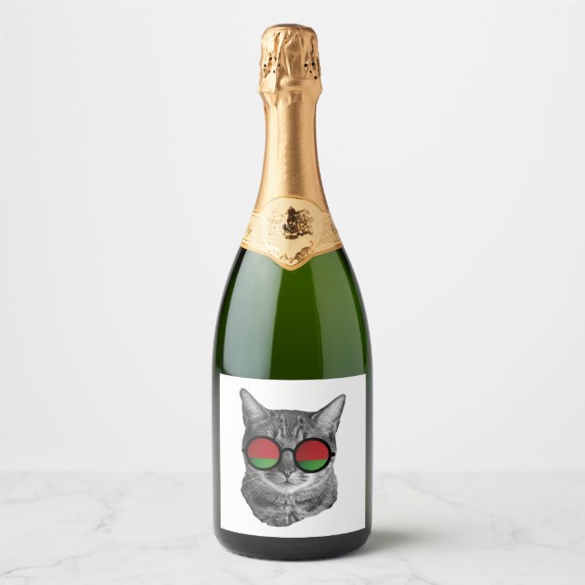 Camiseta Gato Engraçado - Belarus (Frente)