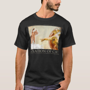 Camiseta Gato Engraçado Deus Criação de Adão Meme Michelang