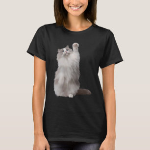 Camiseta Gato Fluffy Ragdoll Bonito
