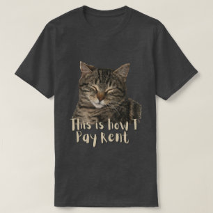 Camiseta Gato Fofo Personalizado Divertido, é assim que pag