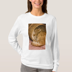 Camiseta Gato laranja dormindo na cesta