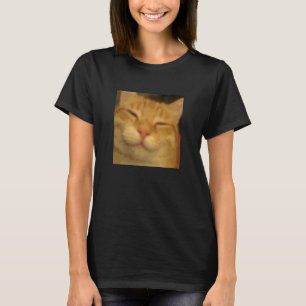 Camiseta Gato Laranja Relaxado Cara Foto Embaçada Meme Humo
