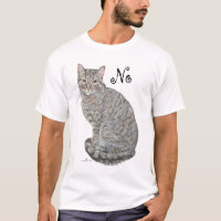 Gato Listrado Não Está Aberto