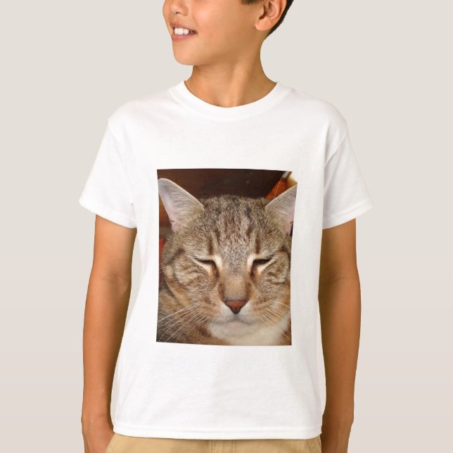 Camiseta Gato Listrado Tigre (Frente)