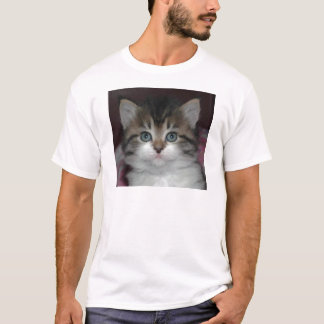 Camiseta Gato malhado Siberian/gatinho branco