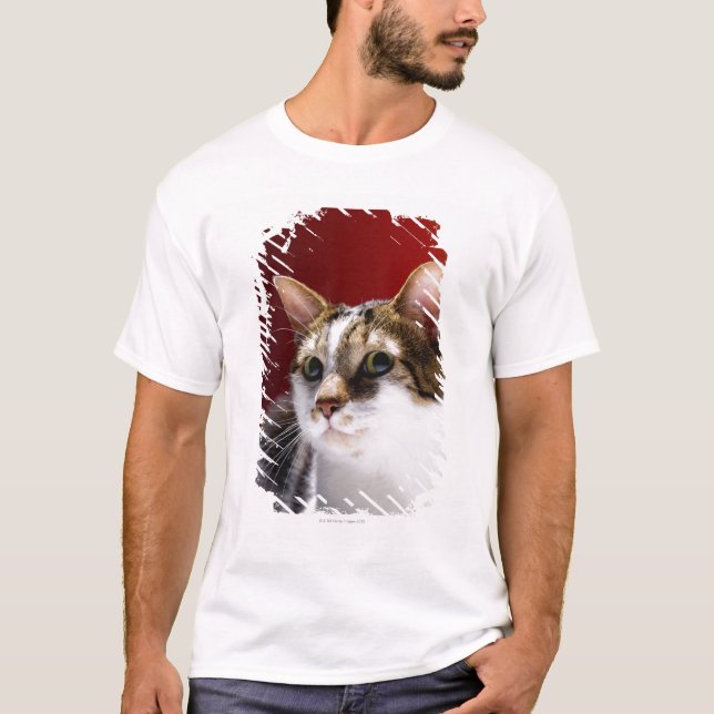 Camiseta Gato Manx (Frente)