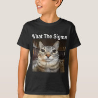 Gato Meme Engraçado O Que É Sigma Citação de Meme