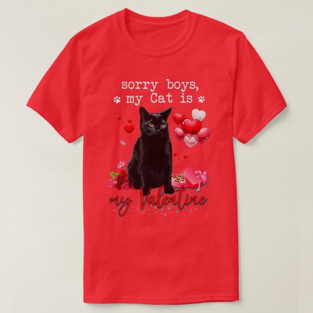 Camiseta Gato Negro Engraçado Desculpe Rapaz Meu Gato É Meu (Frente do Design)