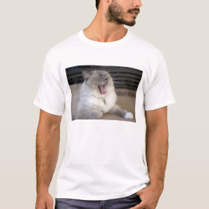 Camiseta gato Neva Masquerade bocejando
