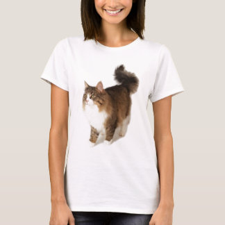 Camiseta Gato norueguês da floresta
