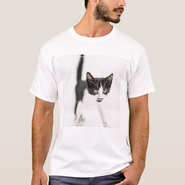 Camiseta Gato pequeno (Frente)
