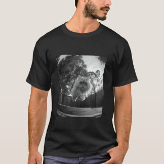 Camiseta Gato Persa Engraçado Pulando no Trampolim Amante d