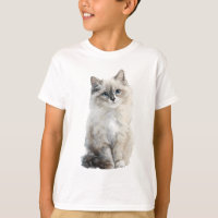 Gato Ragdoll Fofo de Olhos Azuis Pintura Infantil