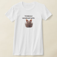 Gato Sphynx Mudança de Humor
