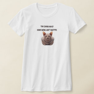 Camiseta Gato Sphynx Mudança de Humor