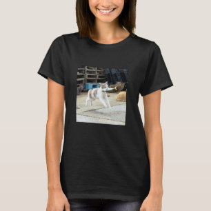 Camiseta gato voador com peixe_001
