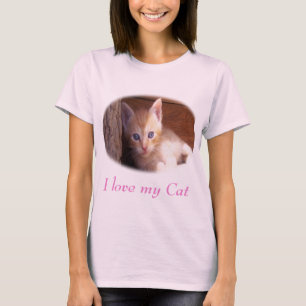 Camiseta Gatos