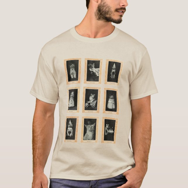 Camiseta Gatos (Frente)