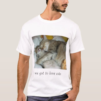 Camiseta gatos de afago