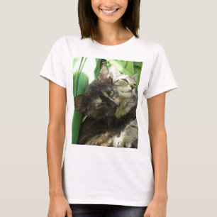 Camiseta Gatos fofos
