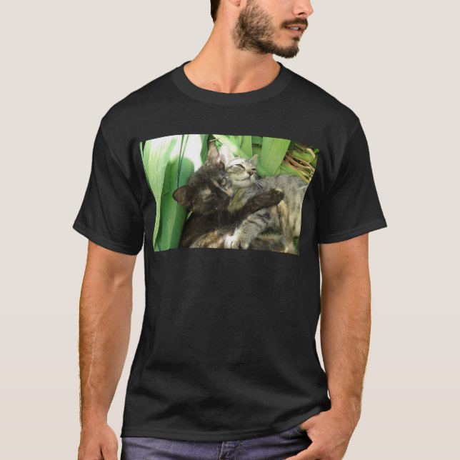 Camiseta Gatos fofos se aconchegando (Frente)