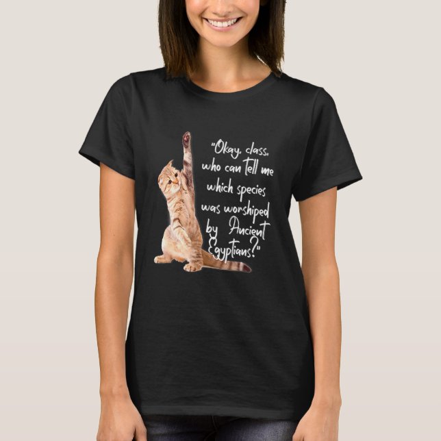 Camiseta Gatos Foram Adorados Por Egípcios (Frente)