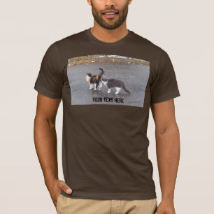 Camiseta Gatos insolentes na estrada