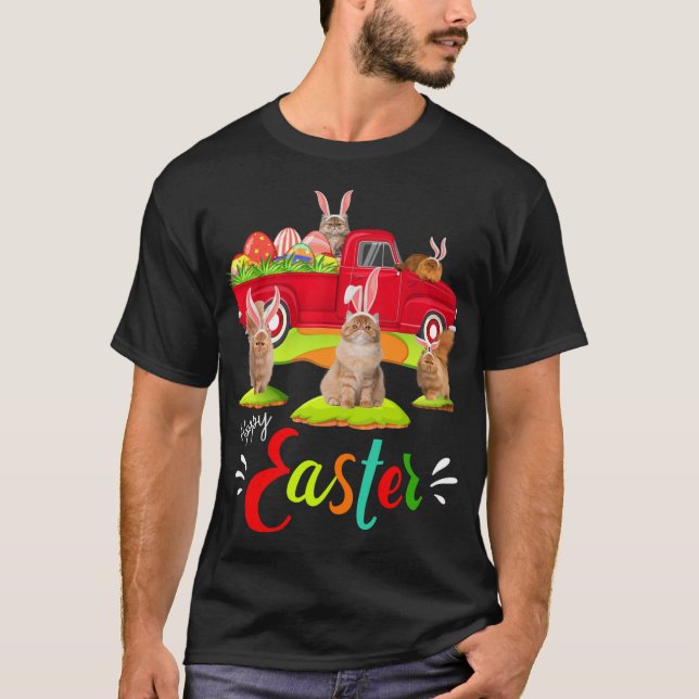 Camiseta Gatos Persianos Bonitos Que Andam Caminhão Vermelh (Frente)