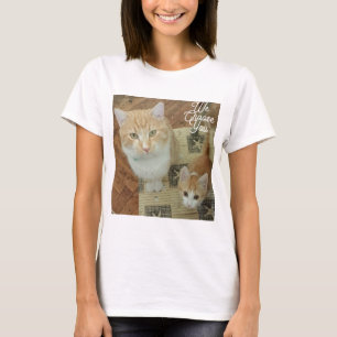 Camiseta Gatos Texto Engraçado Que Escolhemos Você Enviar T