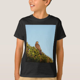 Camiseta Gavião-americano