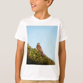 Camiseta Gavião-de-barriga-branca