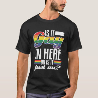 Camiseta Gay Aqui Ou Me Engraçado Orgulho Lgbtq Rainbow F