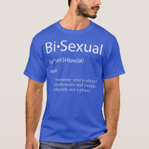Camiseta Gay Bi Orgulho Sual LGBTQ B