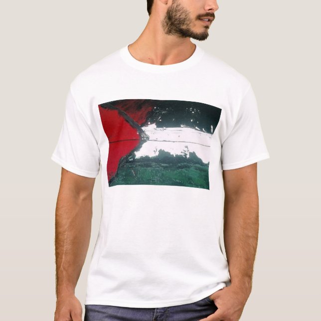 Camiseta Gaza Livre! (Frente)