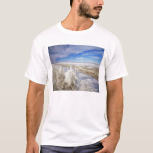 Camiseta Geada branca reveste arbusto seco e cerca próxima
