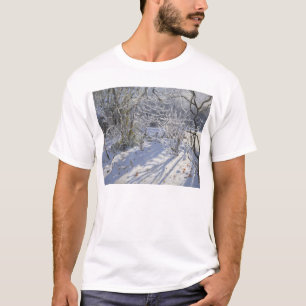 Camiseta Geada Markeaton Derby.UK.2012 do Hoar
