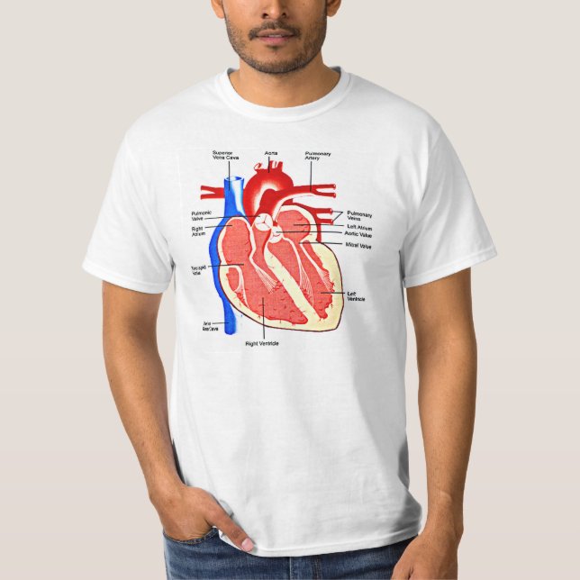 Camiseta Geek da anatomia do coração (Frente)