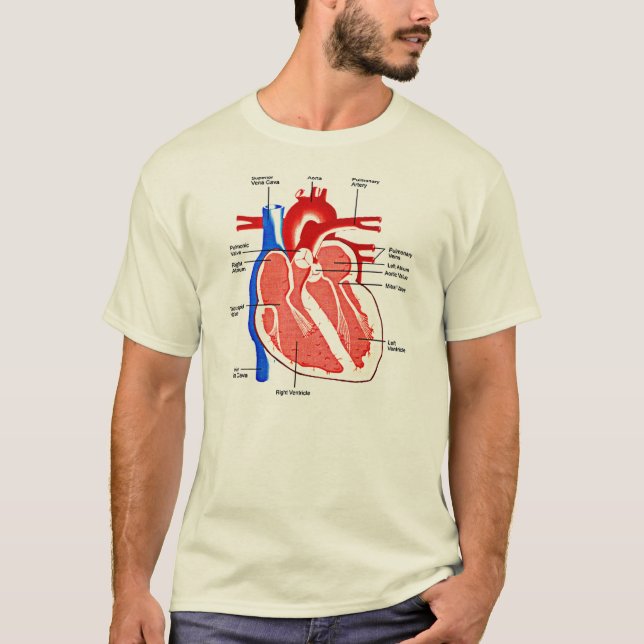 Camiseta Geek da anatomia do coração (Frente)