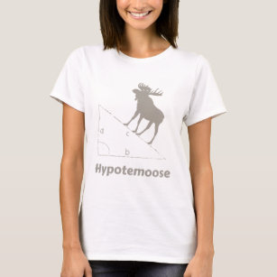 Camiseta Geek da matemática de Hypotemoose