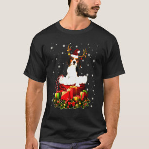 Camiseta Gelado em Papais noeis, Caixa de Acondicionamento