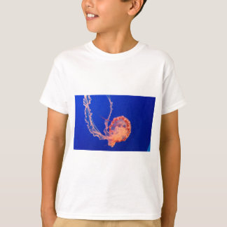 Camiseta geléia
