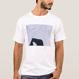 Camiseta Geleira da ilha do pinho