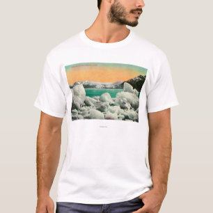 Camiseta Geleira e iceberg de Muir em Alaska #1State